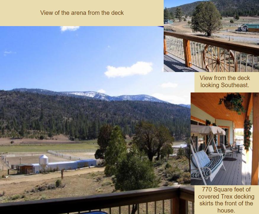 Equestrian Property Stable Express